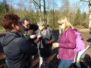 Winterwanderung 2019 - kleine Rast